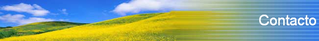 Contacto